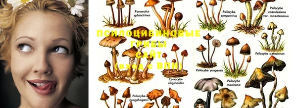 гашиш Лихославль