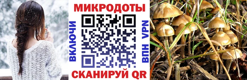 Галлюциногенные грибы MAGIC MUSHROOMS  darknet как зайти  Сочи  закладка 
